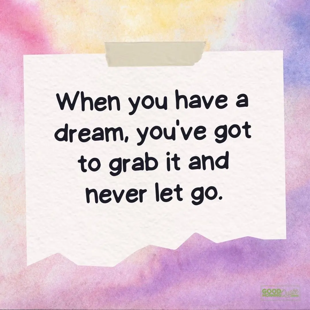 when you have a dream teen quote