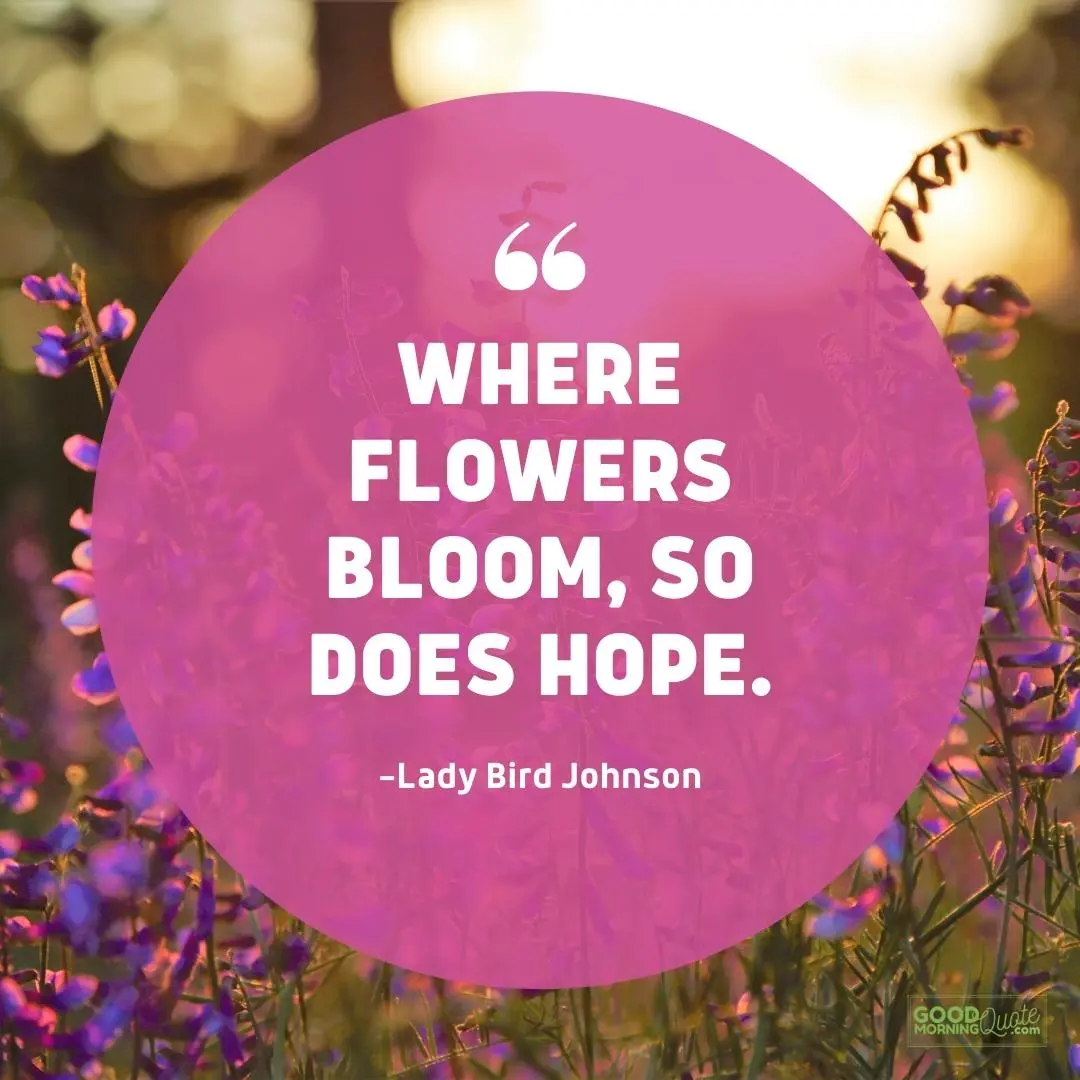 where flowers bloom spring quote