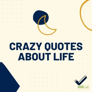 Crazy Quotes About Life