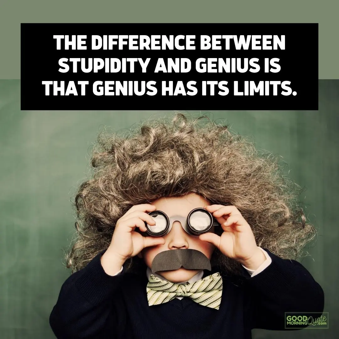 difference between stupidity and genius crazy quote