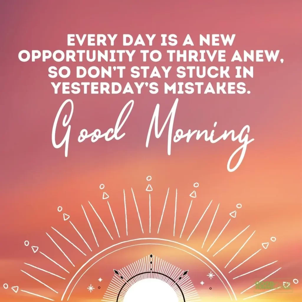 every day is a new opportunity to thrive anew