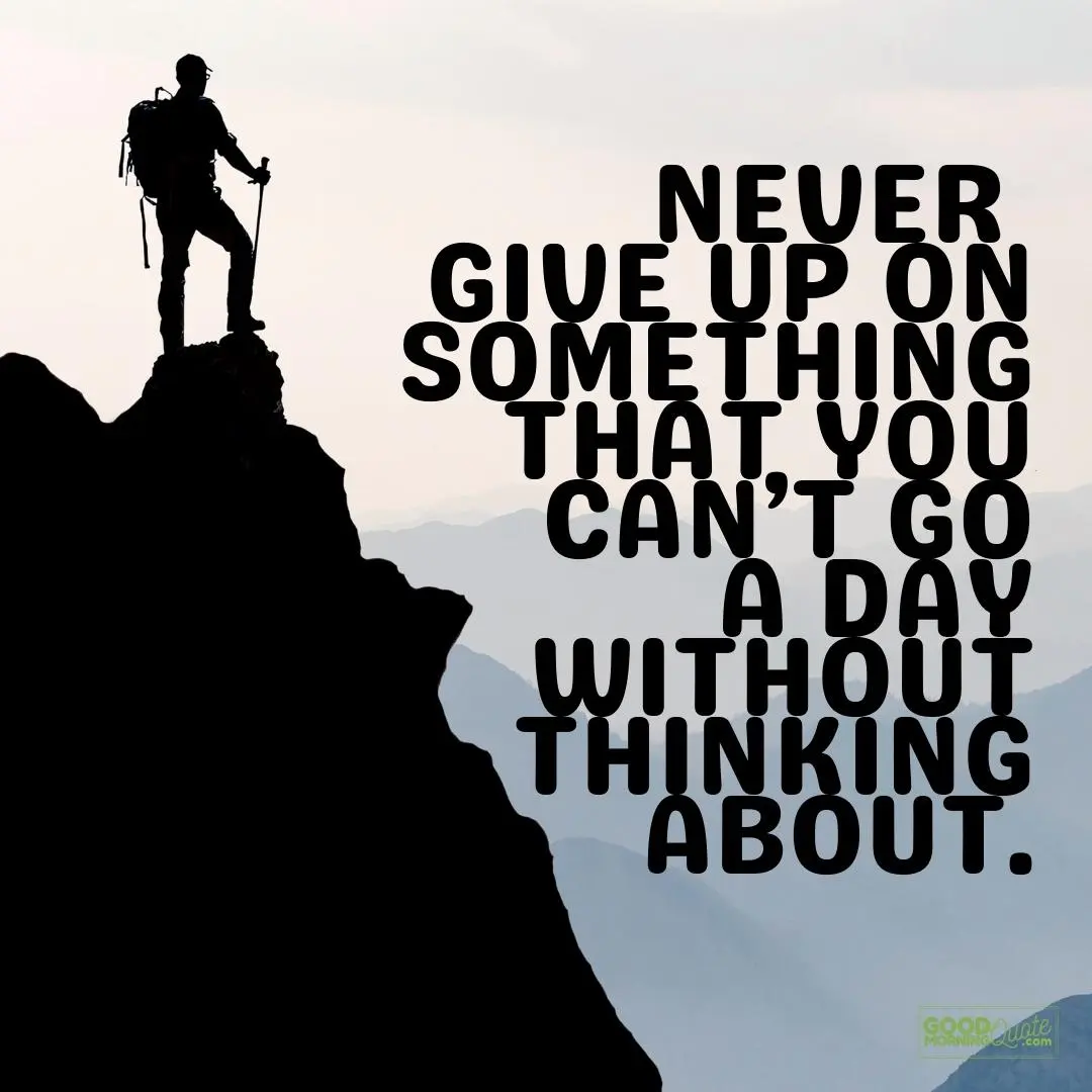 never give up on something perseverance quote