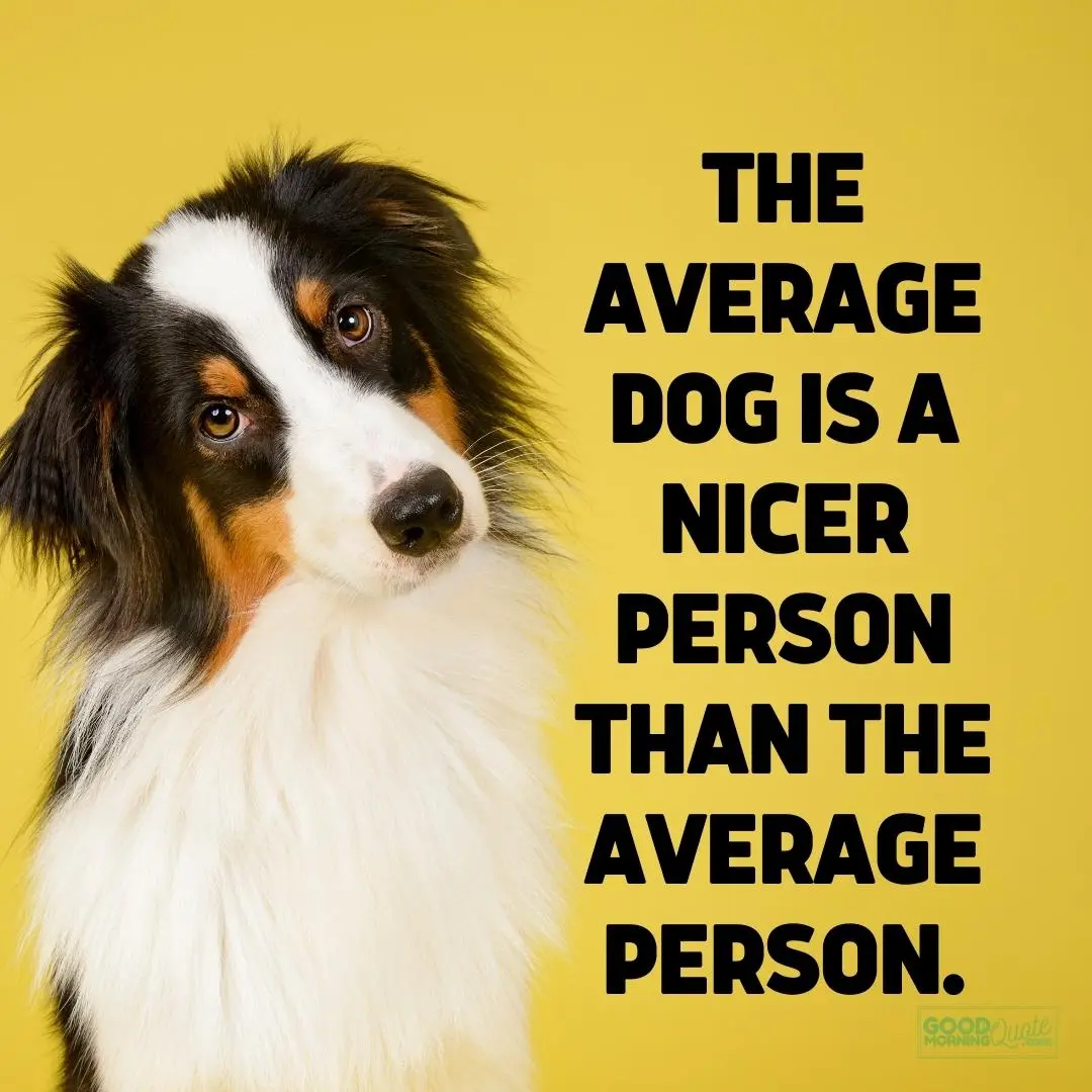 nicer than the average person crazy quote