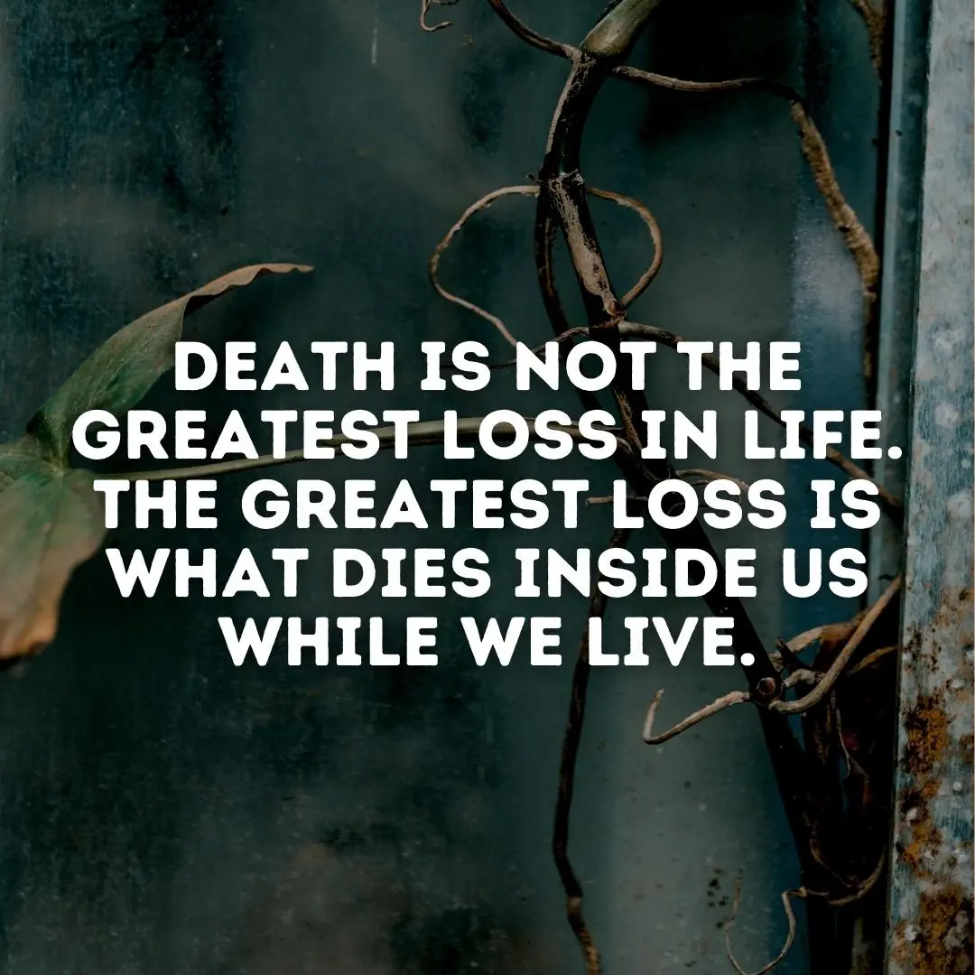 not the greatest loss in life depressing quote