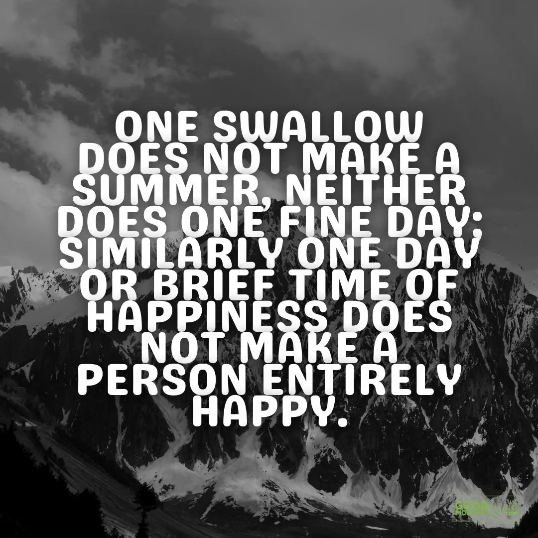 one swallow does not make a summer depression quote