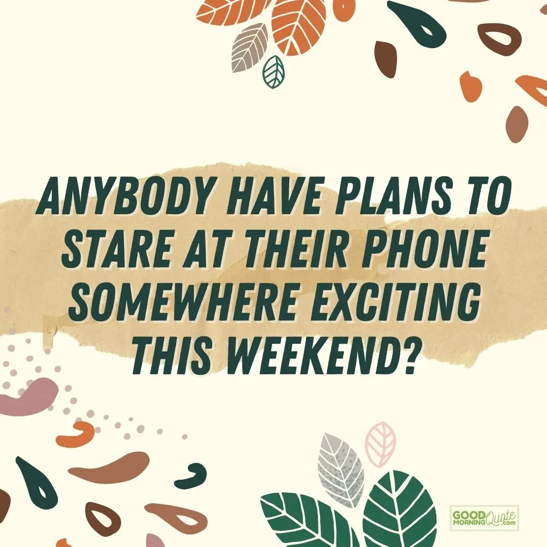 plans to stare at their phone
