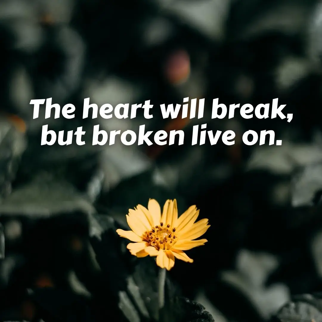 the heart will break depressing quote