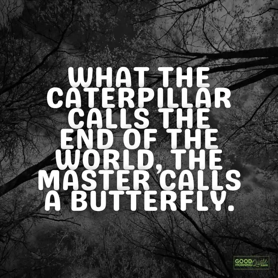 the master calls a butterfly depression quote