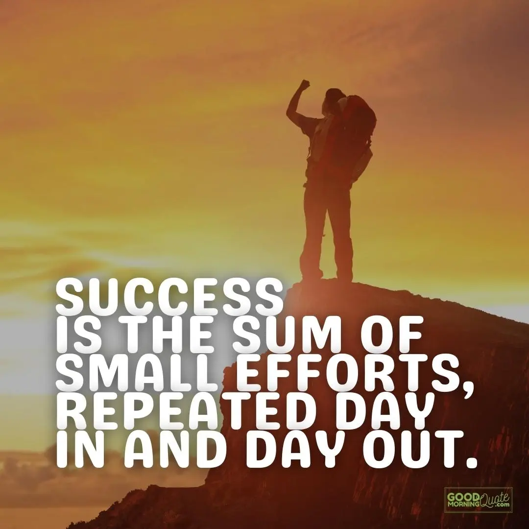 the sum of all efforts perseverance quote