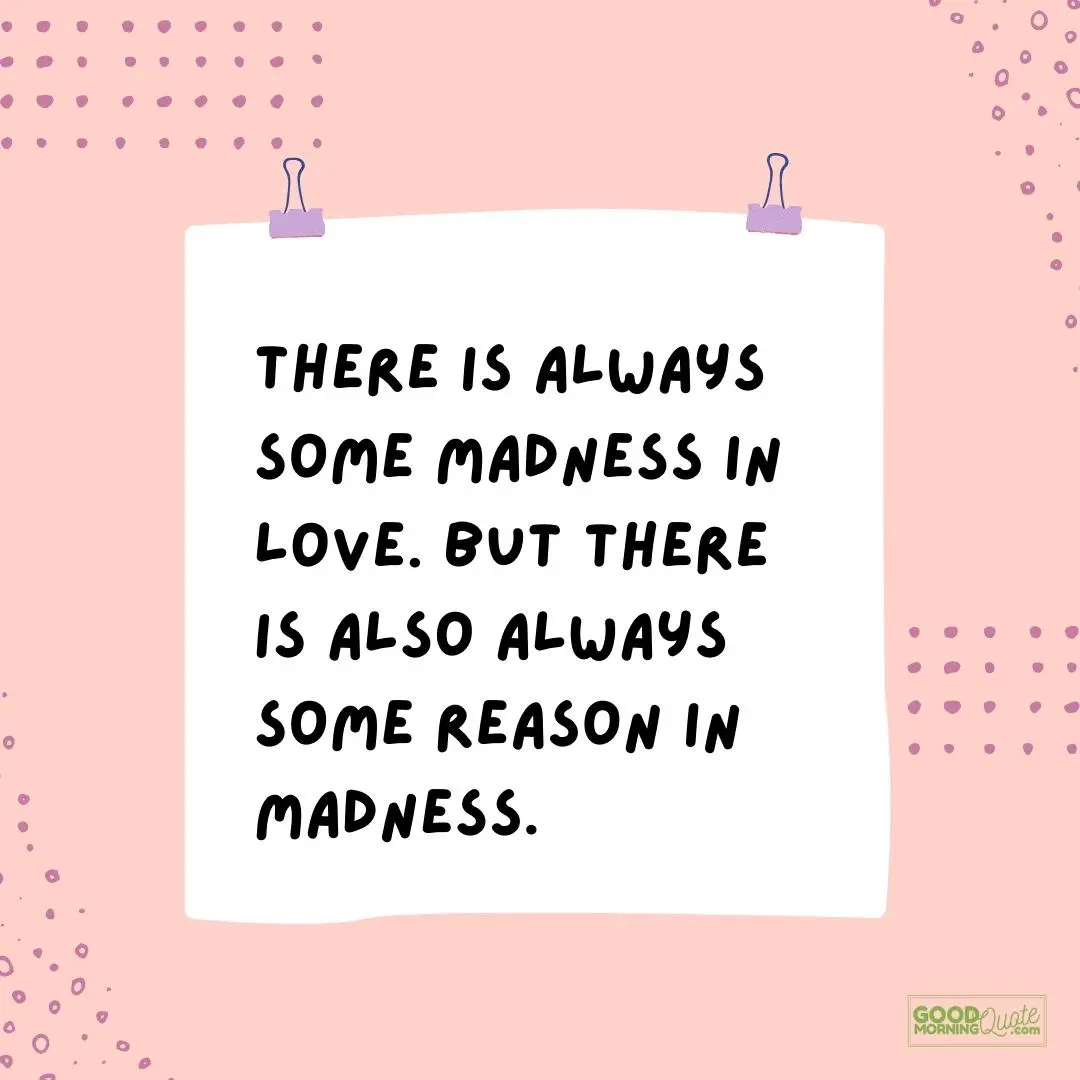 there is always some madness in love cute love quote