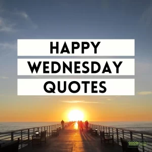 Happy Wednesday Quotes