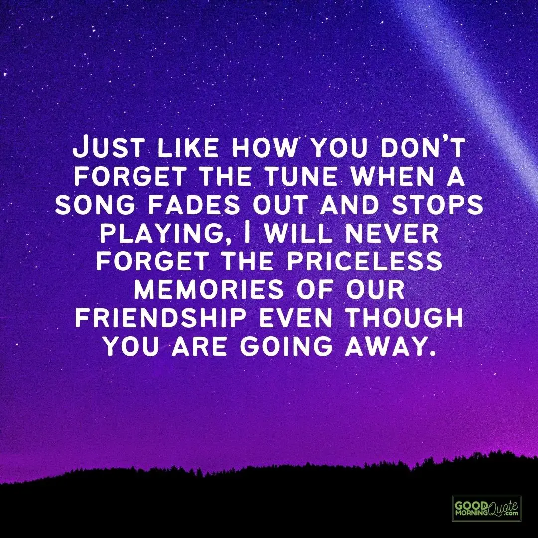 I will never forget the priceless memories of our friendship farewell quote