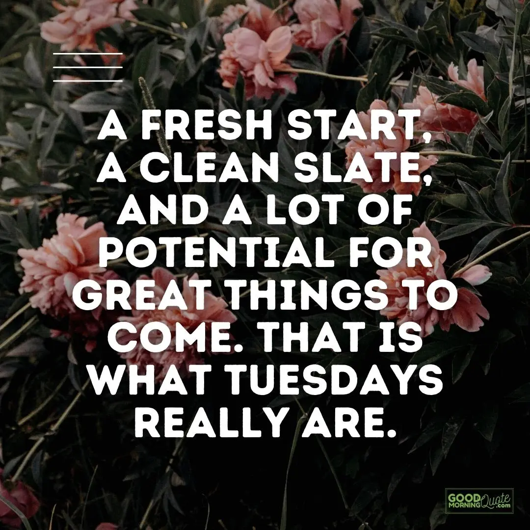 a fresh start a clean slate happy tuesday quote