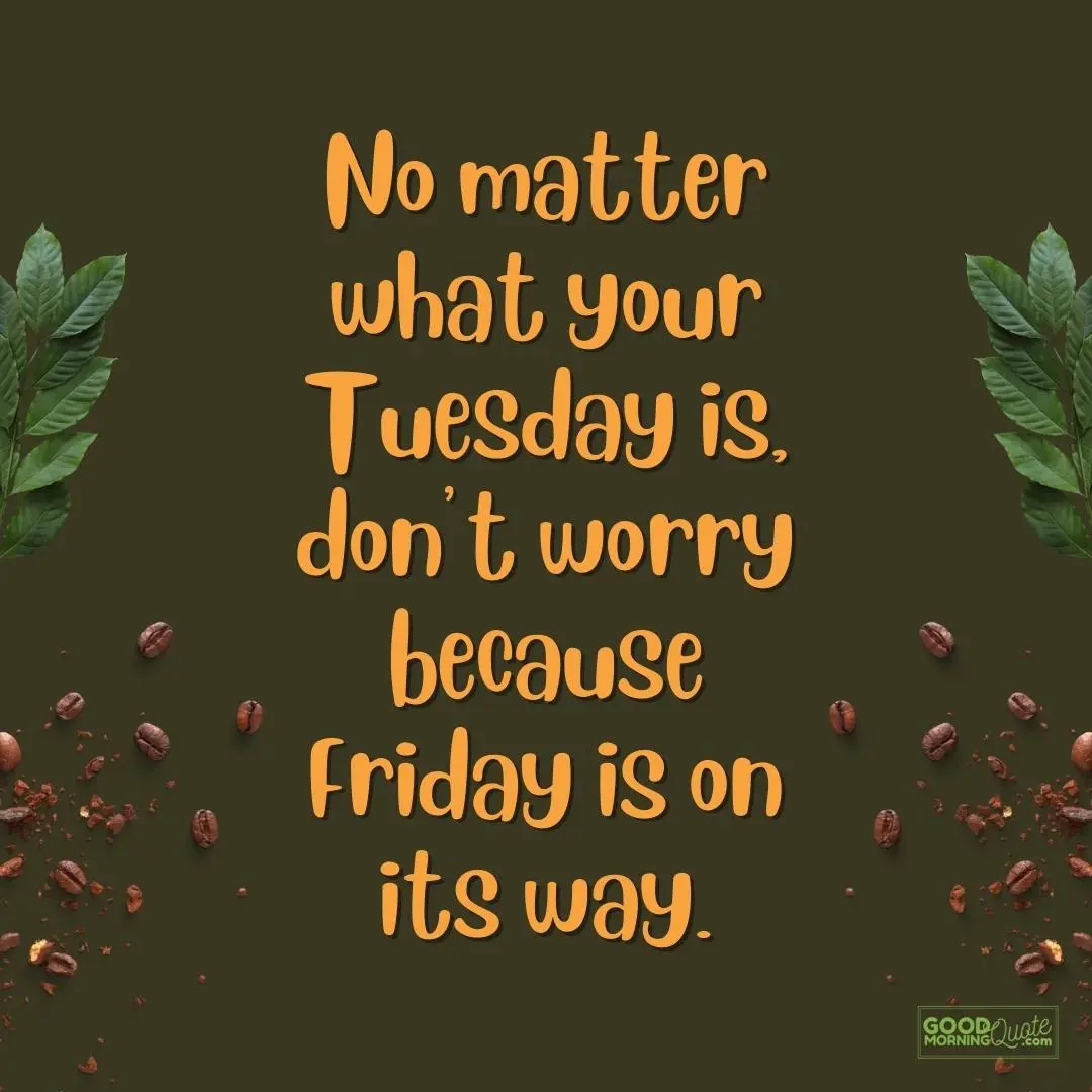 don't worry because friday is on its way happy tuesday quote