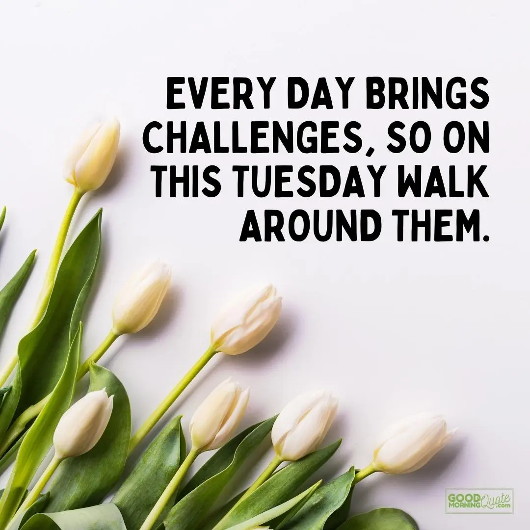 every day brings challenges happy tuesday quote