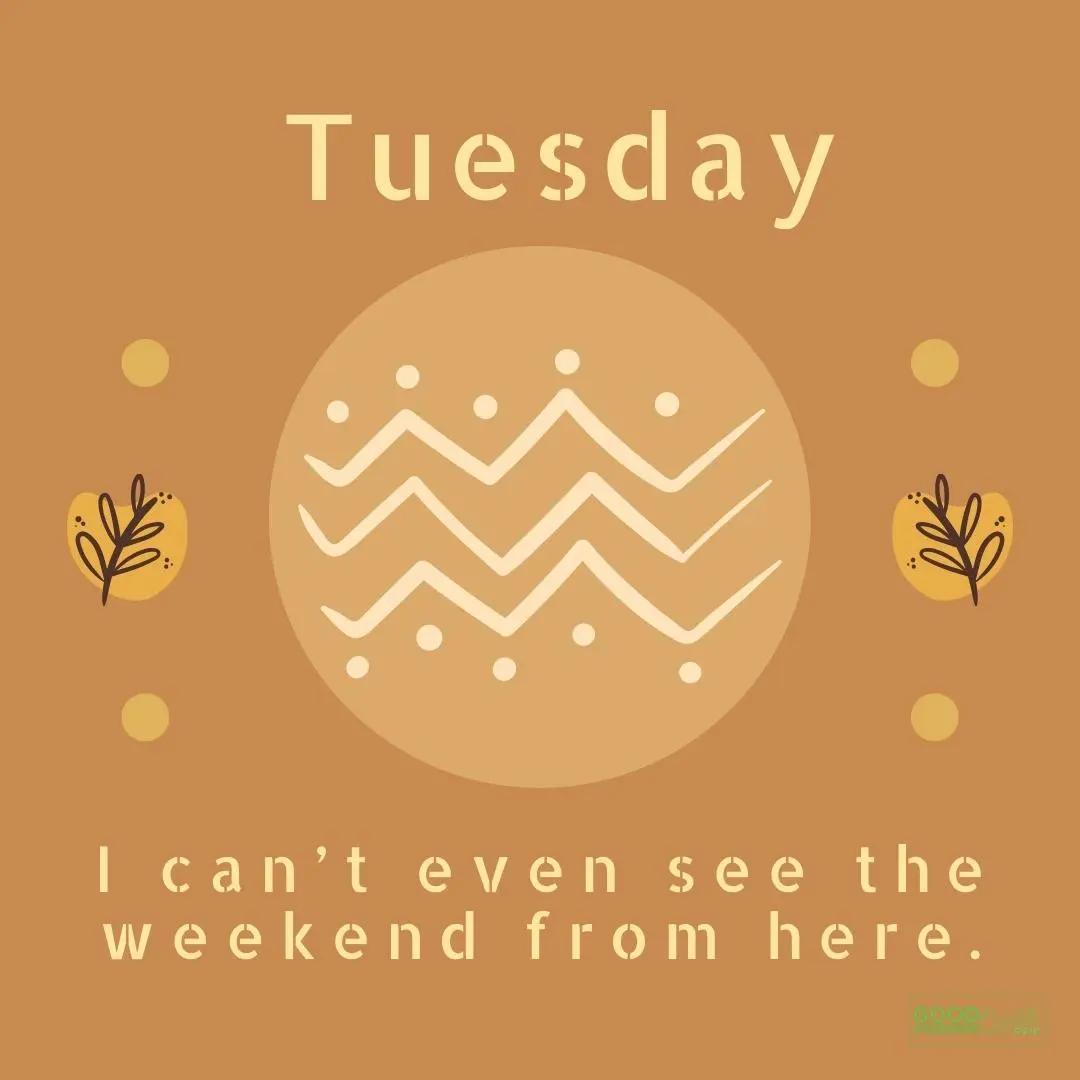 i can't even see the weekend from here happy tuesday quote