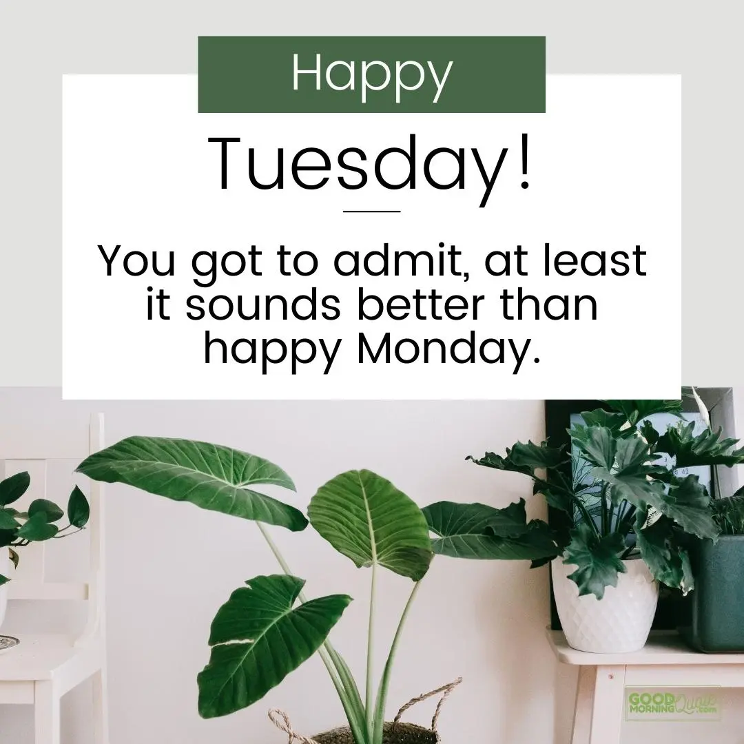 it sounds better than happy monday happy tuesday quote