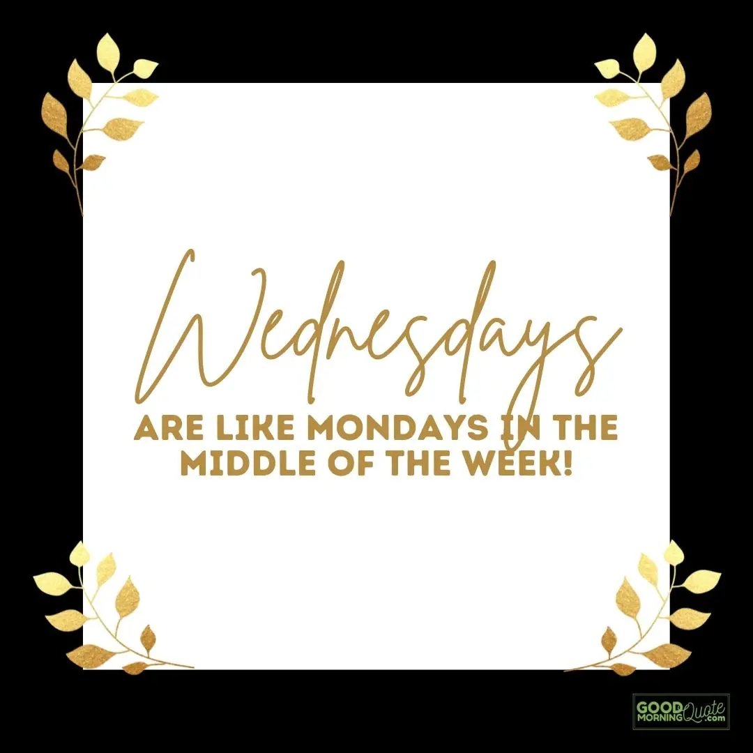 like mondays in the middle of the week wednesday quote