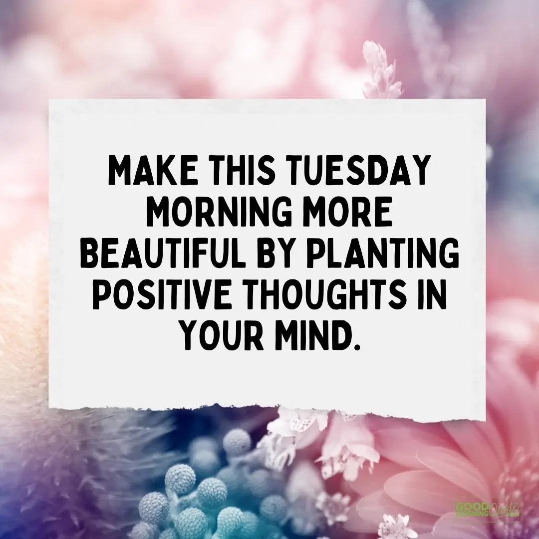 make this tuesday morning more beautiful happy tuesday quote