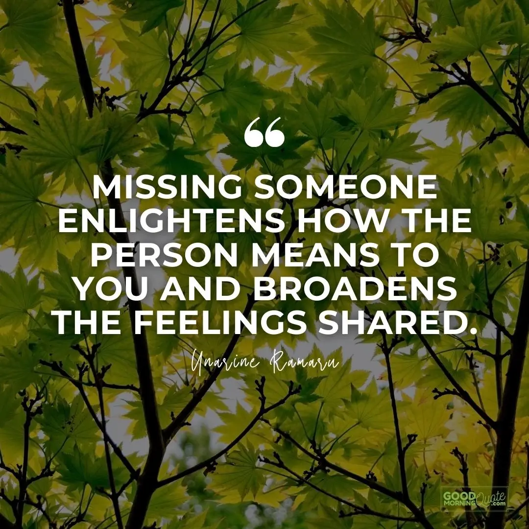 missing someone enlightens how the person means love quote