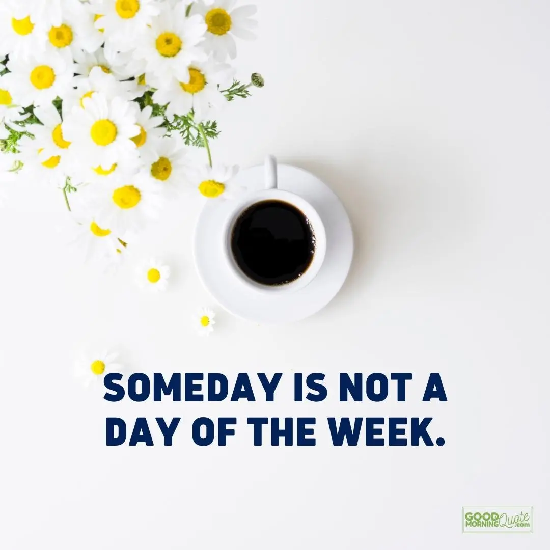 someday is not a day wednesday quote