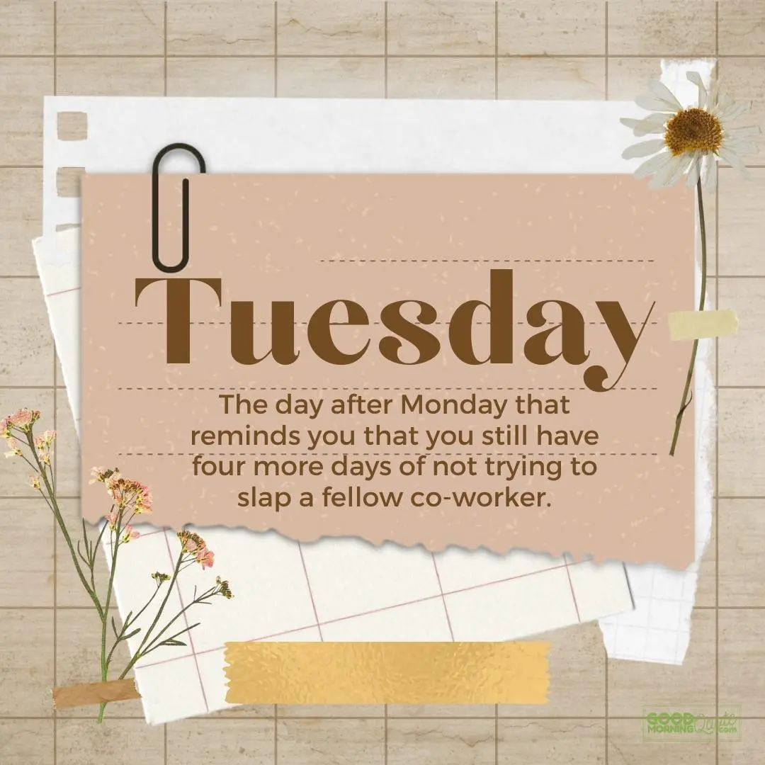 the day after monday happy tuesday quote