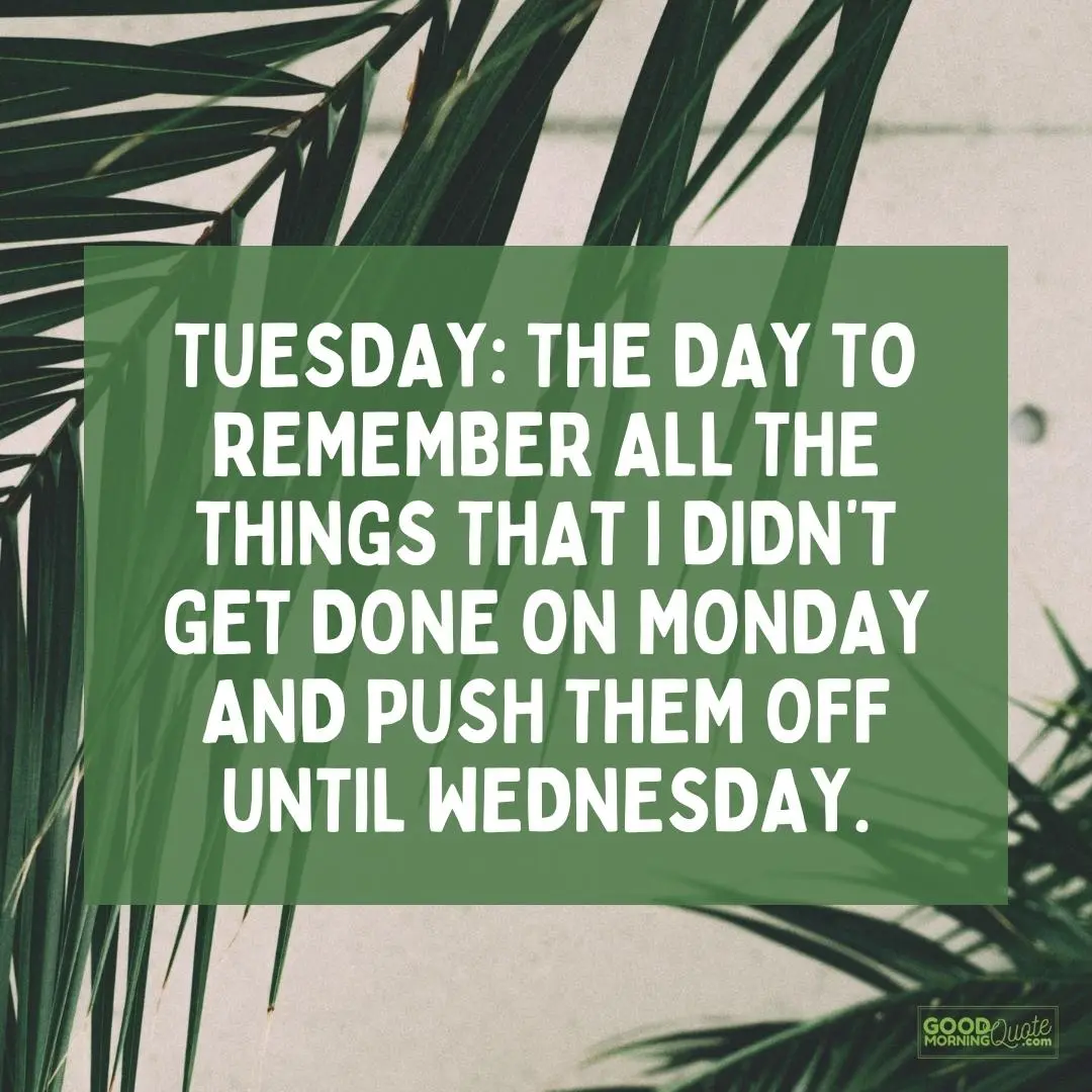 the day to remember all the things that i didn't get done on monday happy tuesday quote