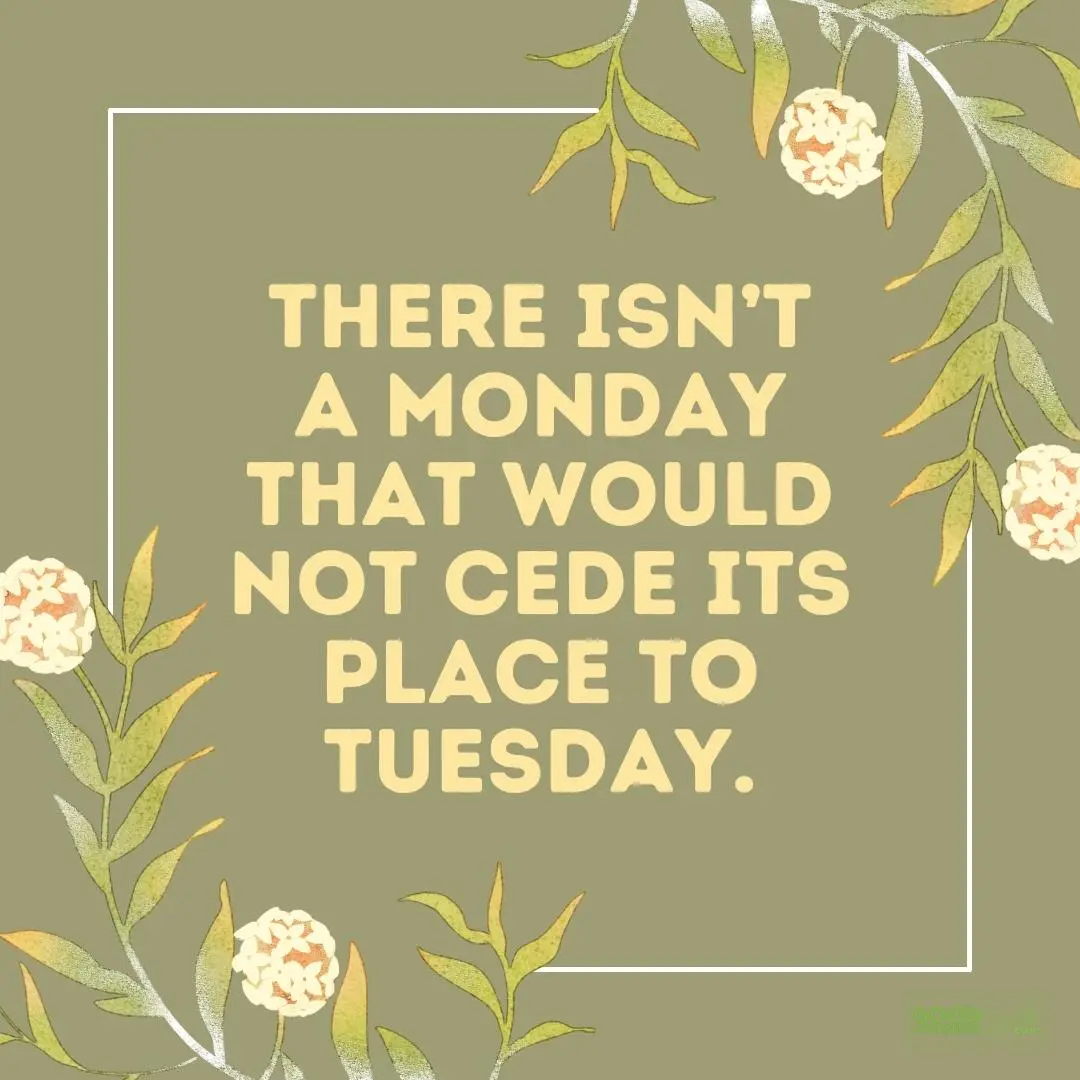 106 Happy Tuesday Quotes and Sayings (with Pictures)