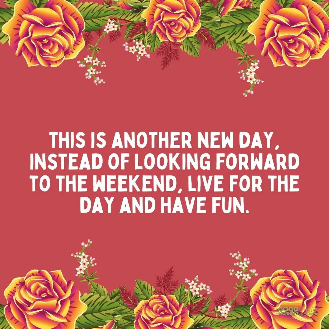 this is another new day wednesday quote