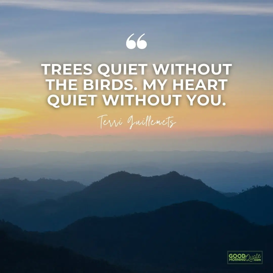 trees quiet without birds missing someone love quote