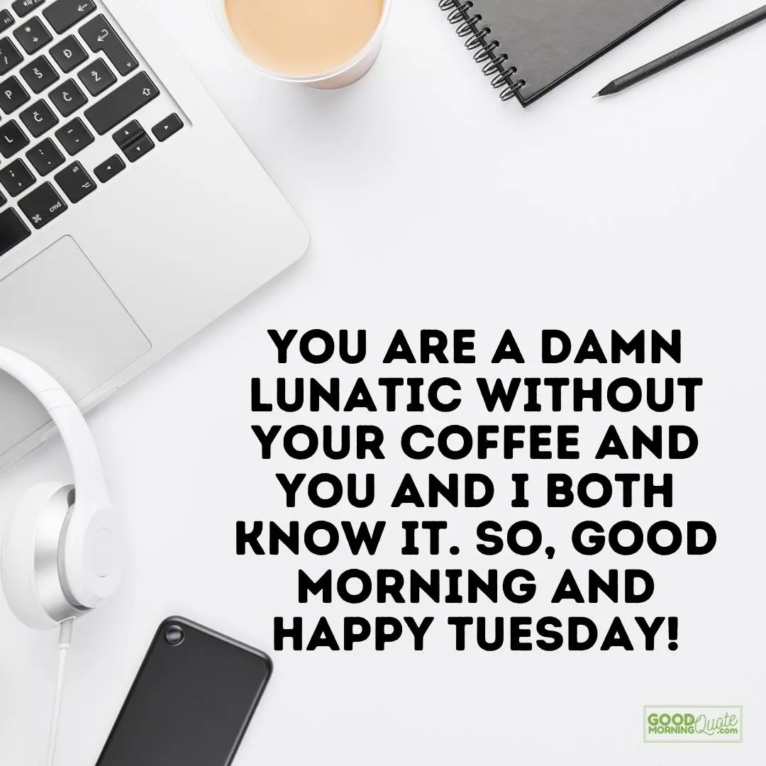 you are a damn lunatic without your coffee happy tuesday quote