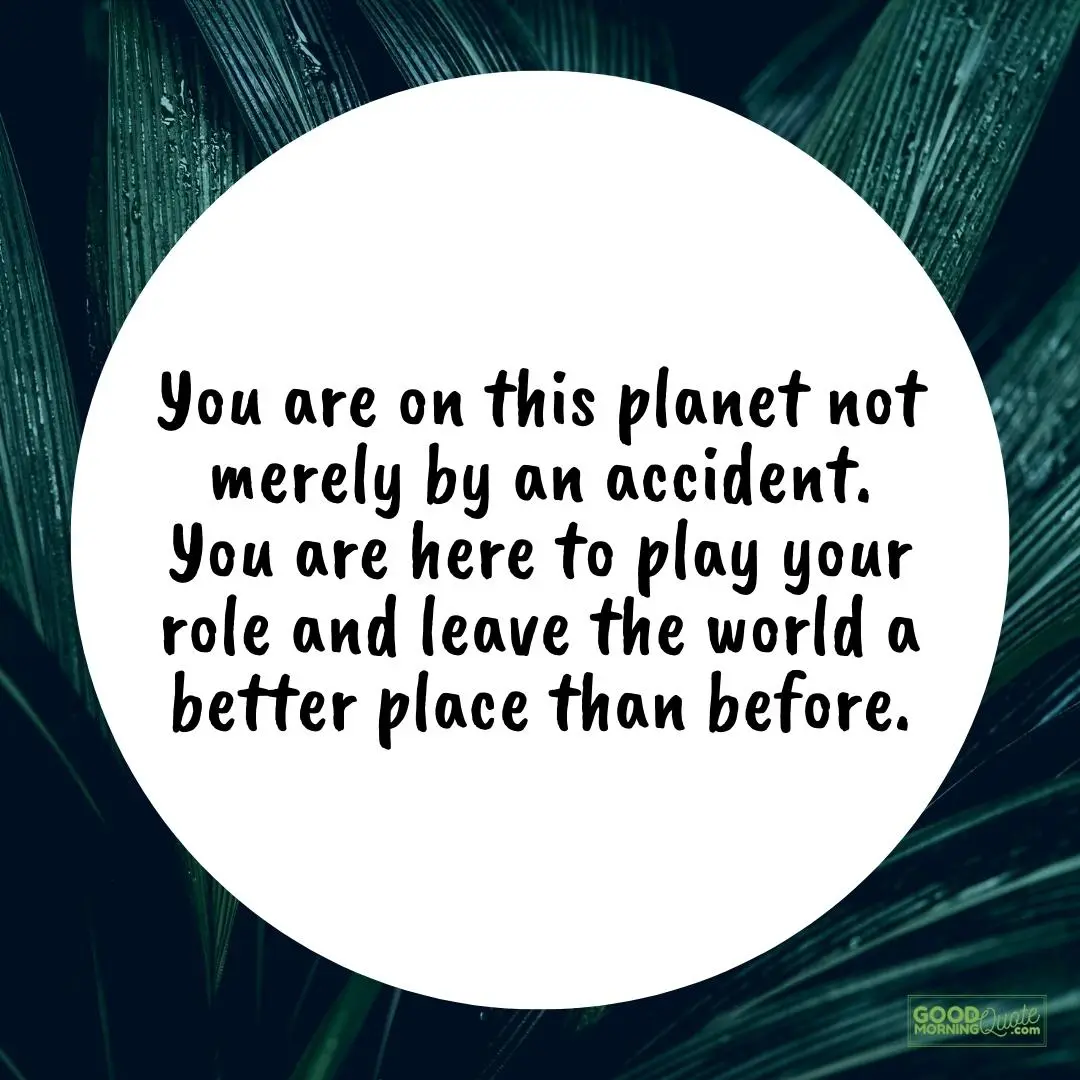 you are in this planet not merely by an accident thursday quote