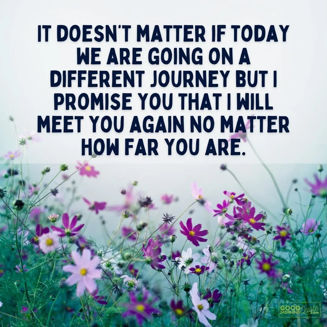 I promise you that I will meet you again no matter how far you are farewell quote