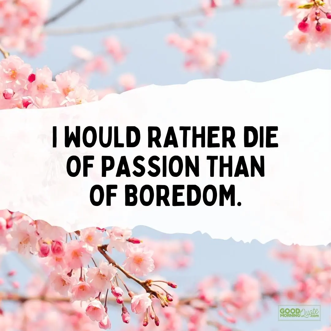 I would rather die of passion happy tuesday quote