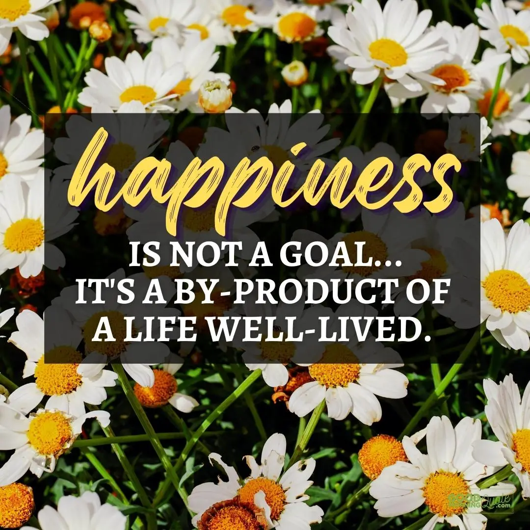 a by-product of a life well-lived happy positive quote