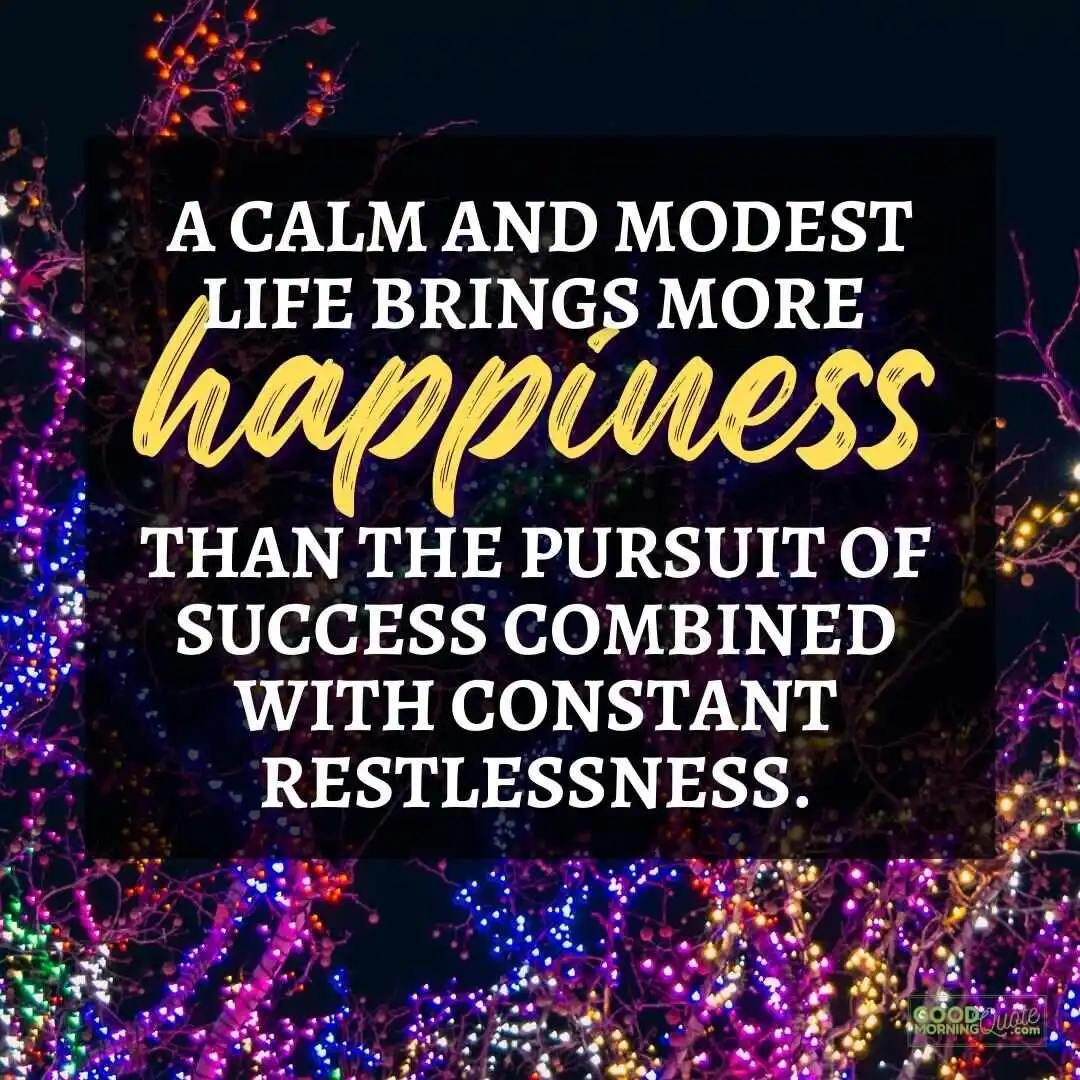 a calm and modest life brings more happiness happy