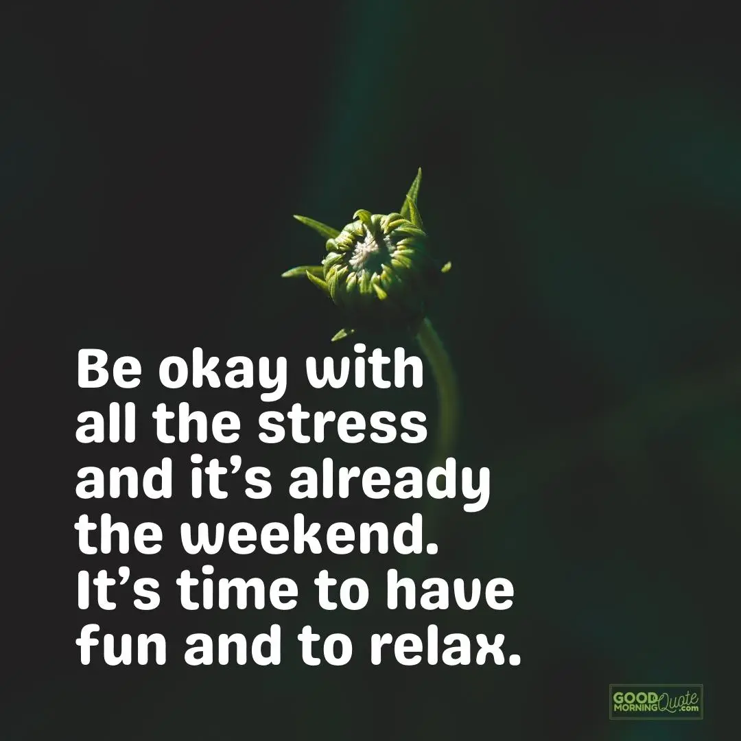 be okay with all the stress saturday quote