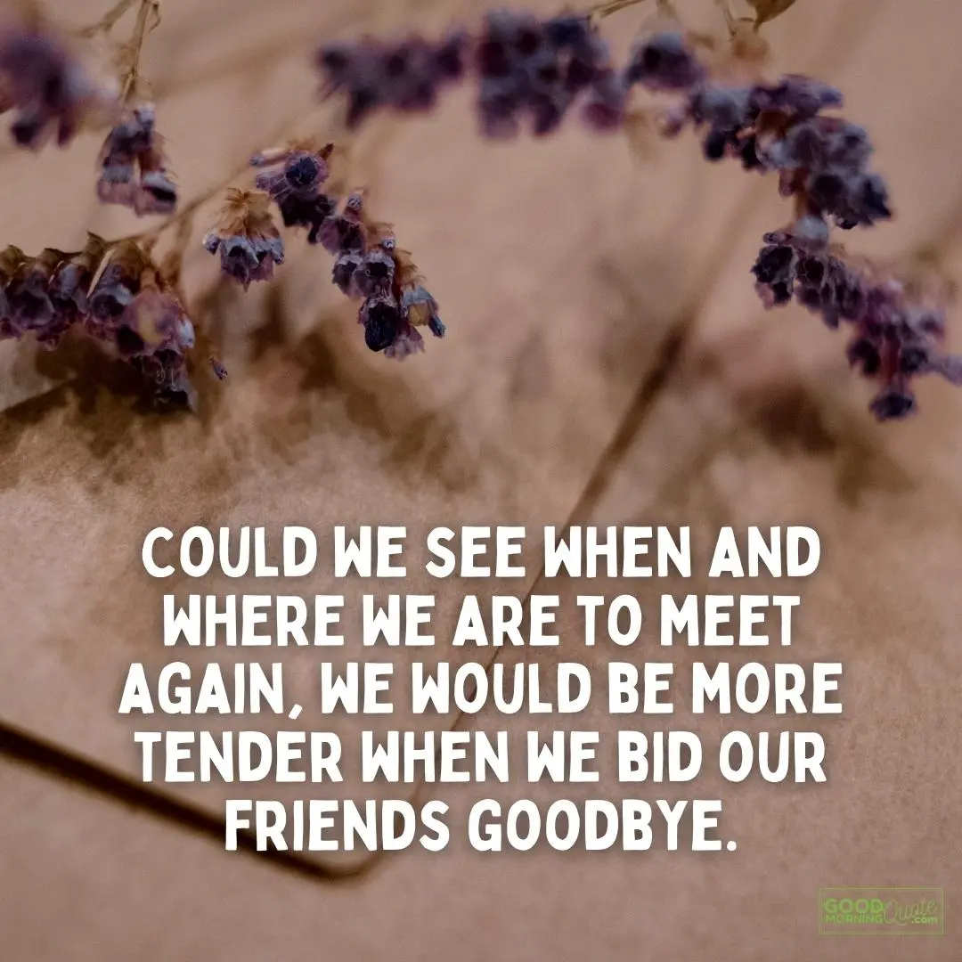 could we see when and where we are to meet again farewell quote