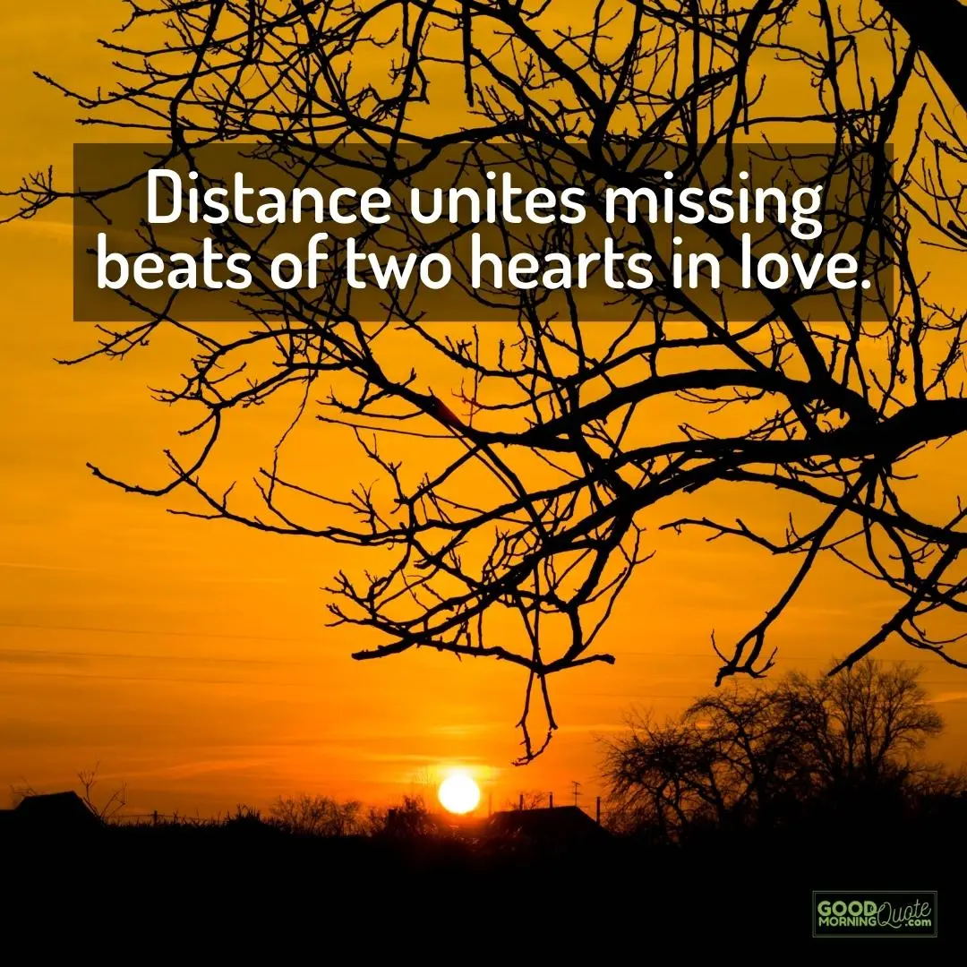 distance unites missing beats of two hearts miss you quote