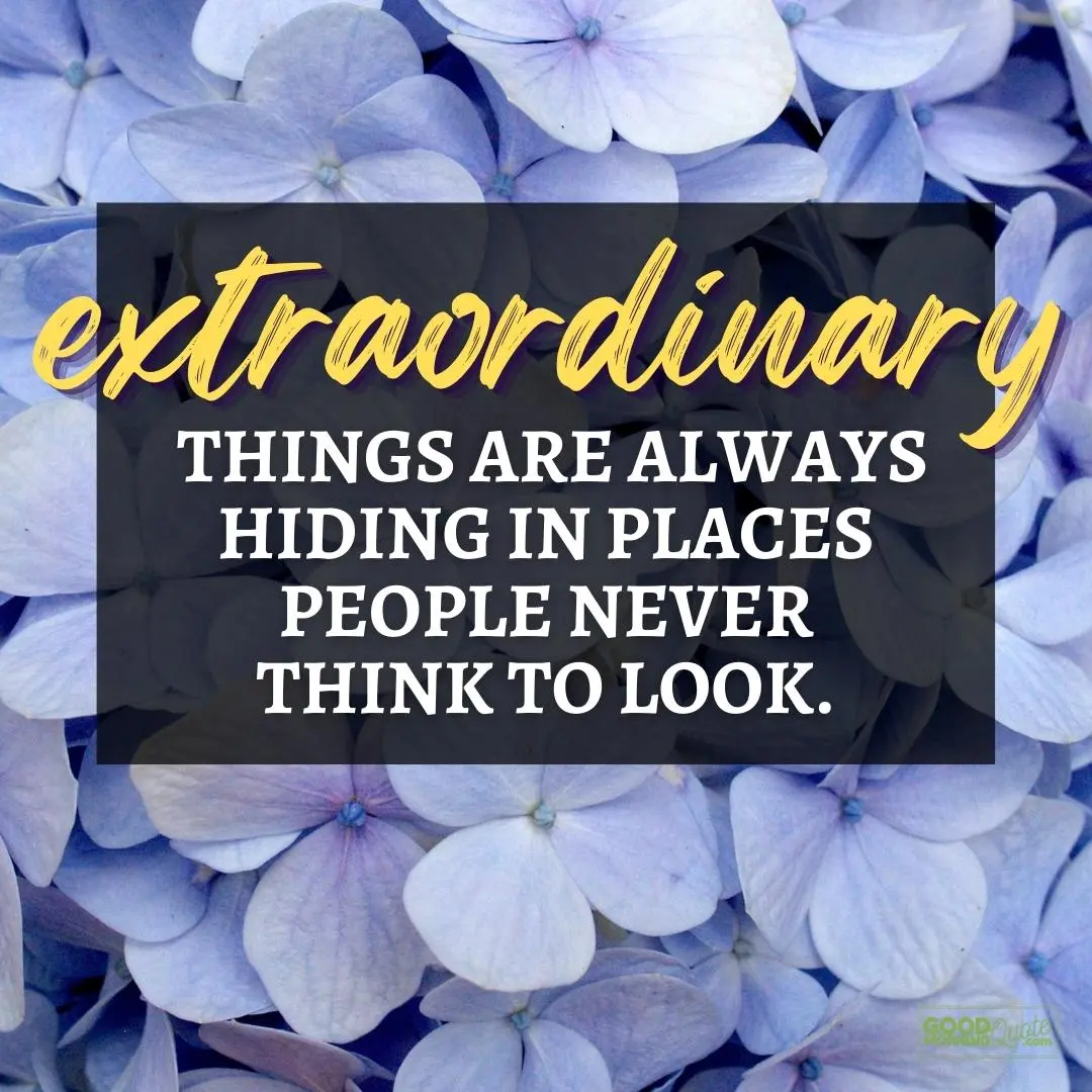extraordinary things are always hiding happy positive quote