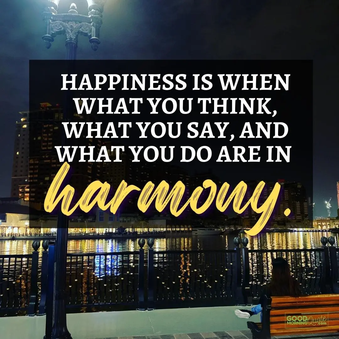 happiness is when you are in harmony happy positive quote
