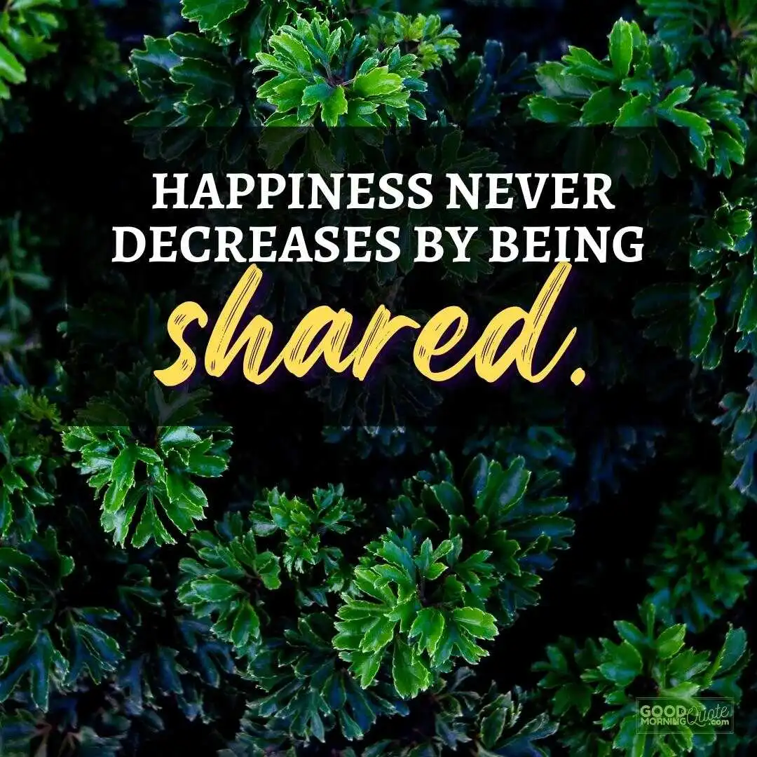 happiness never decreases happy positive quote