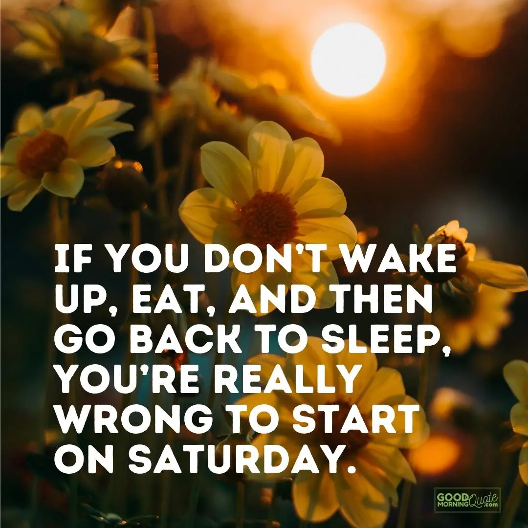 if you don't wake up eat and then go back to sleep saturday quote