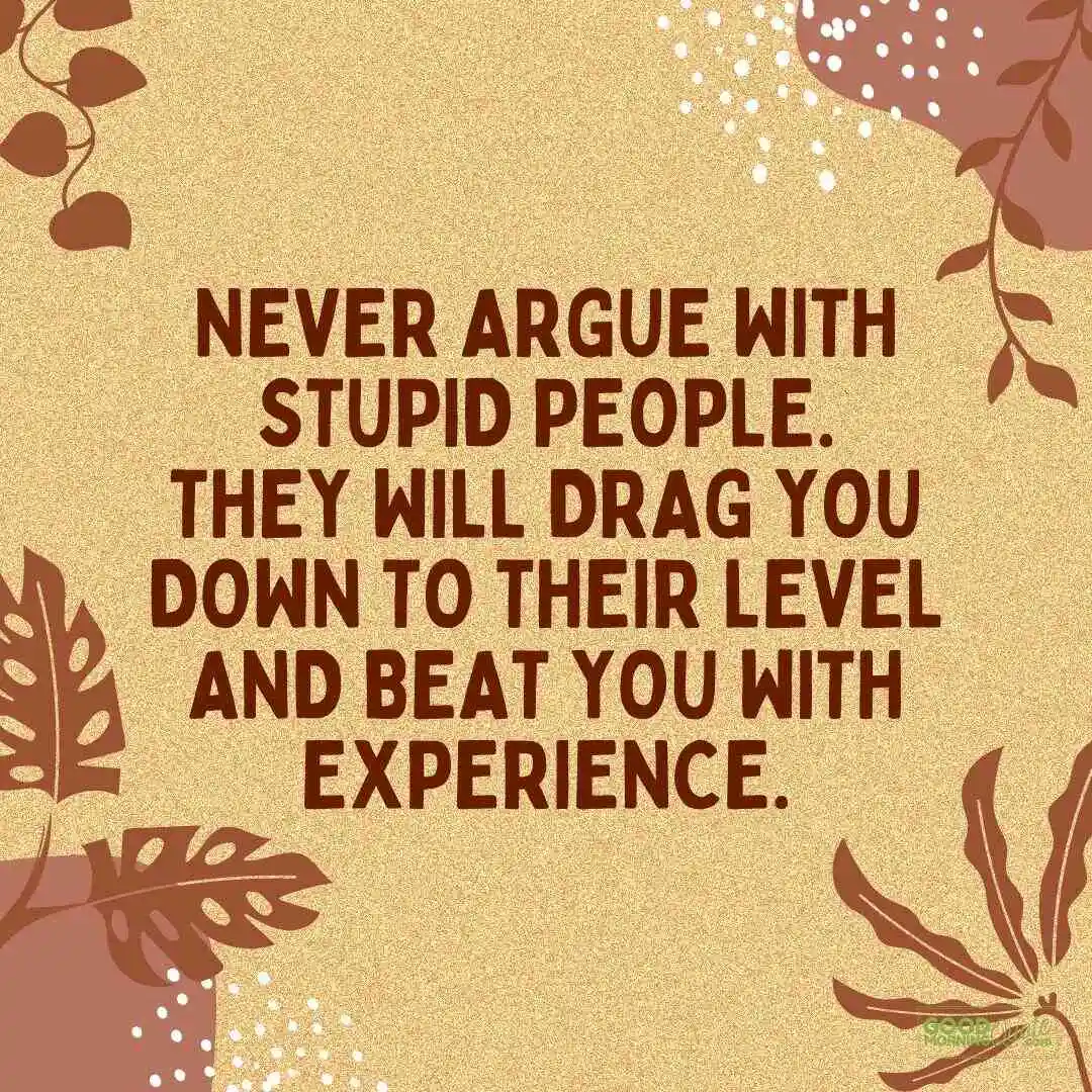 never argue with stupid people happy tuesday quote