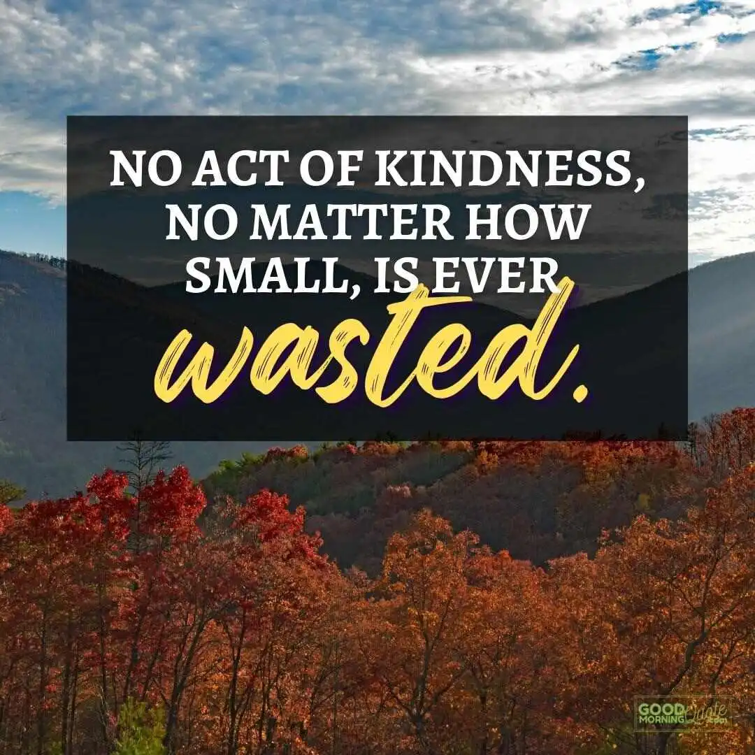 no act of kindness is ever wasted happy positive quote