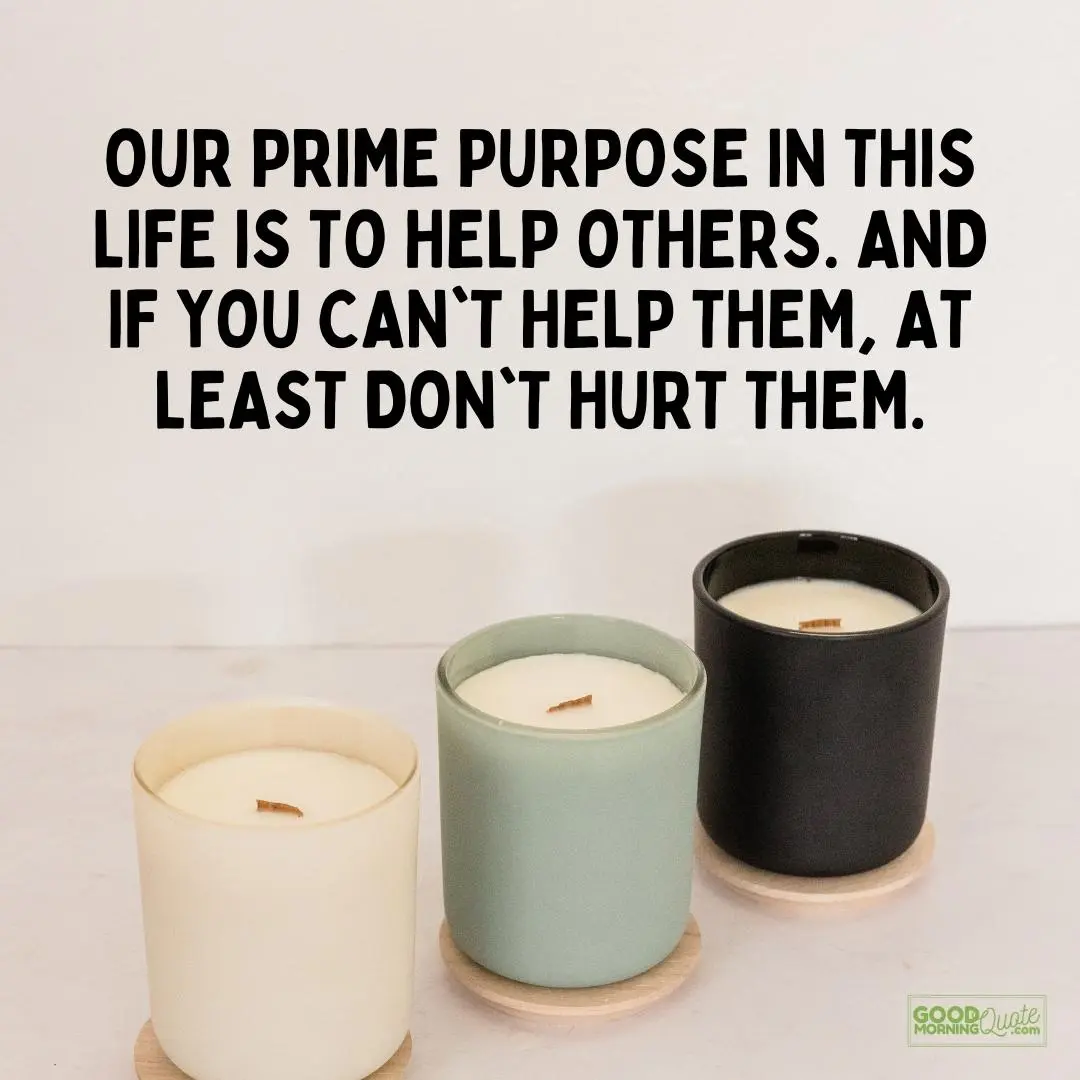 our prime purpose in this life is to help other sacrifice quote