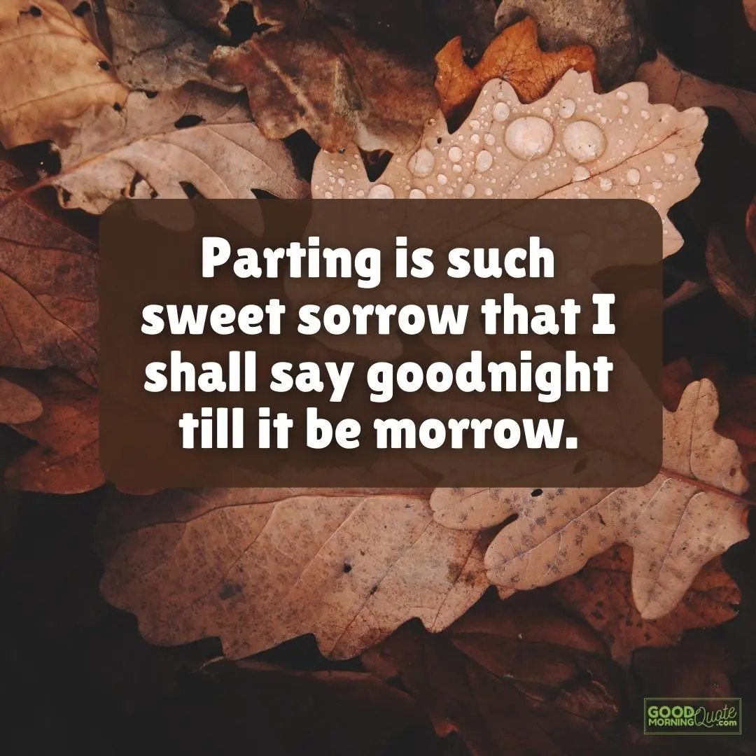 parting is such a sweet sorrow farewell quote