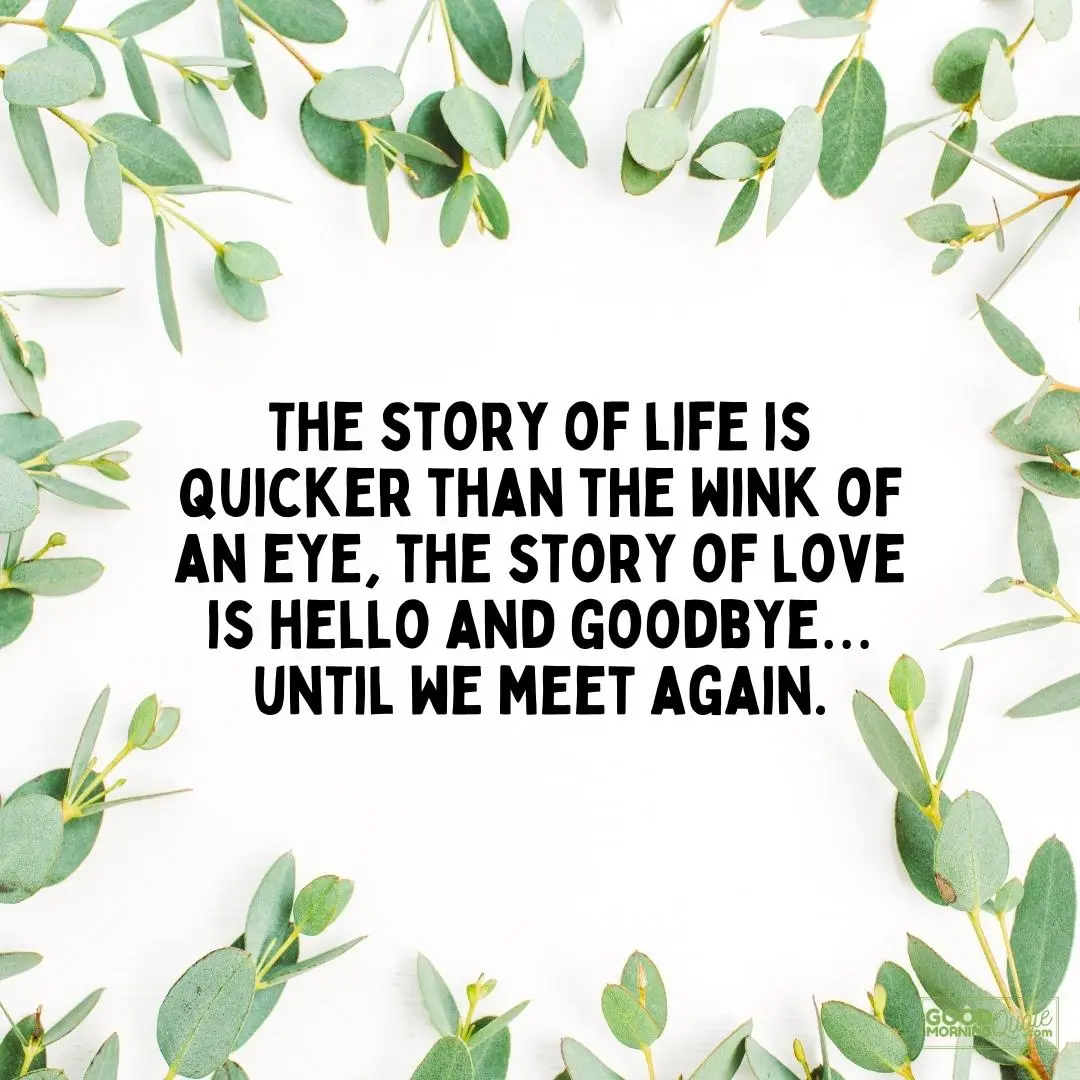 the story of life is quicker than the wink of an eye farewell quote