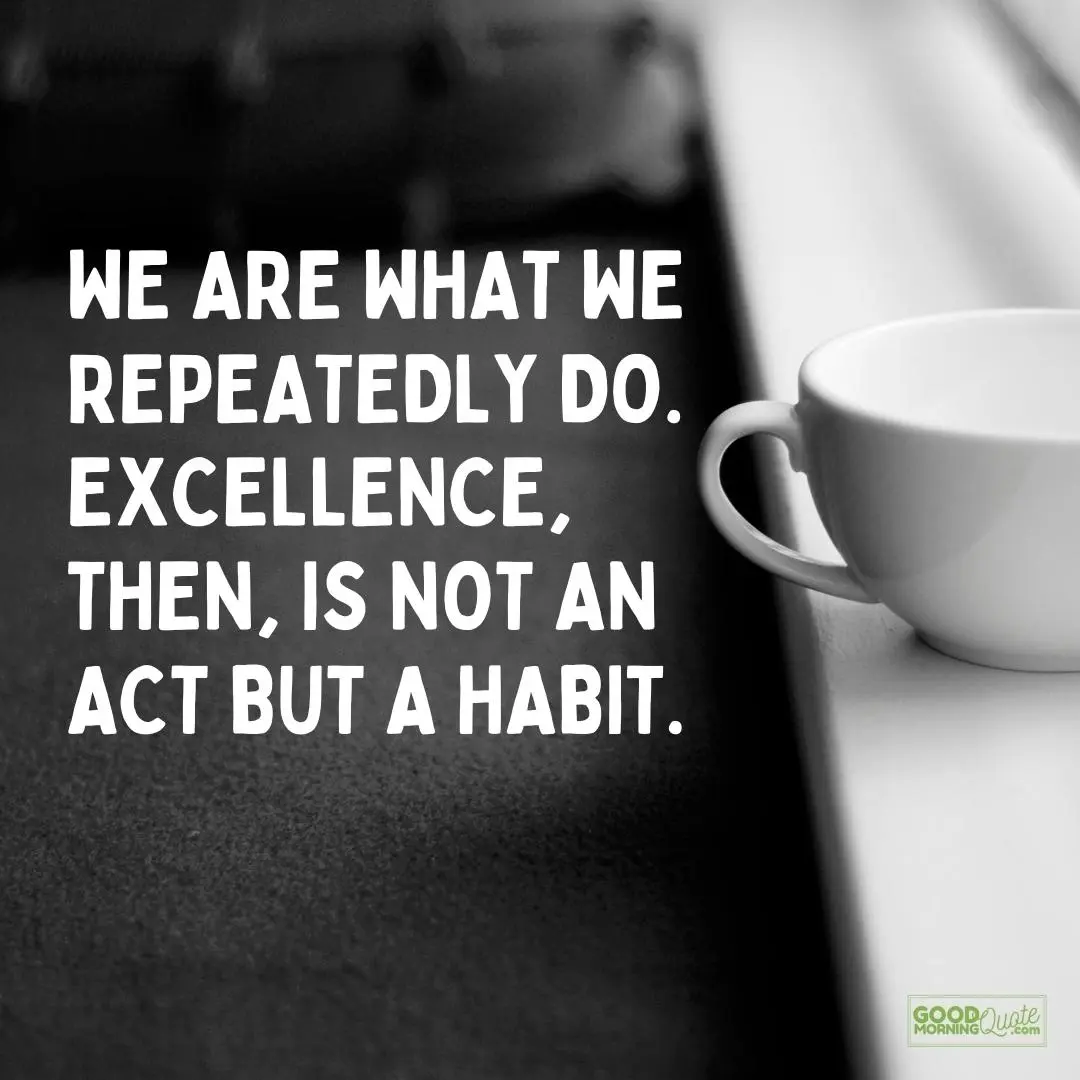 "We are what we repeatedly do. Excellence, then, is not an act but a habit." —Aristotle