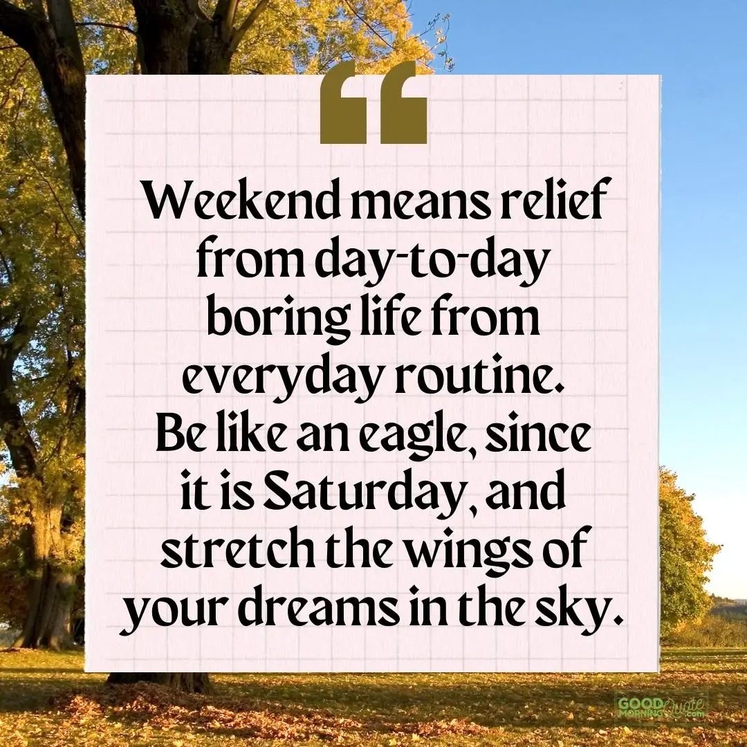 weekend means relief saturday quote